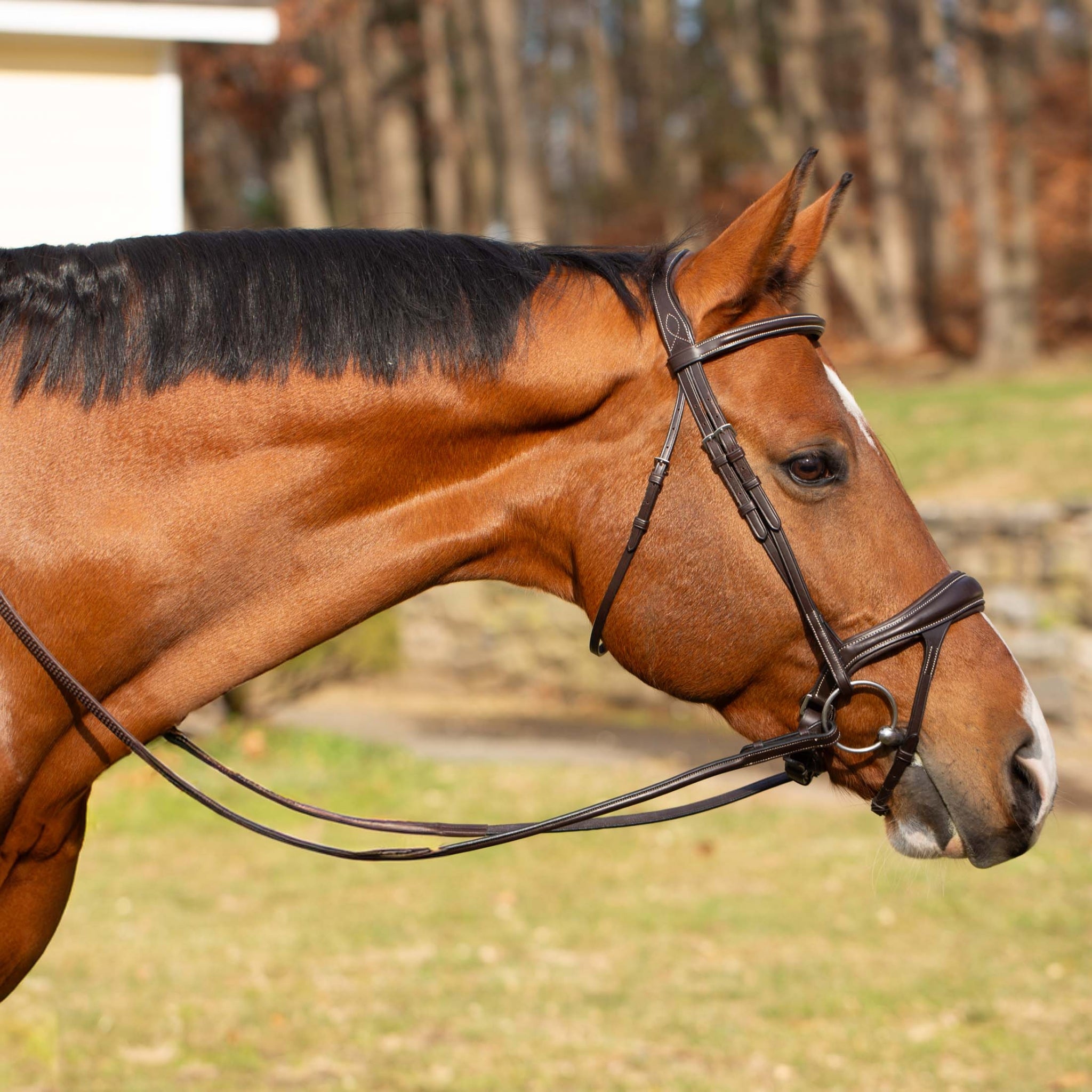 Equinavia Valkyrie Alternative Flash Bridle with Rubber Reins - Image 2