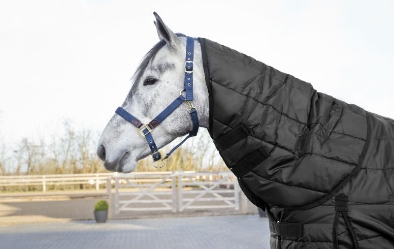 HorZe Nevada 200g Stable Hood Medium Black