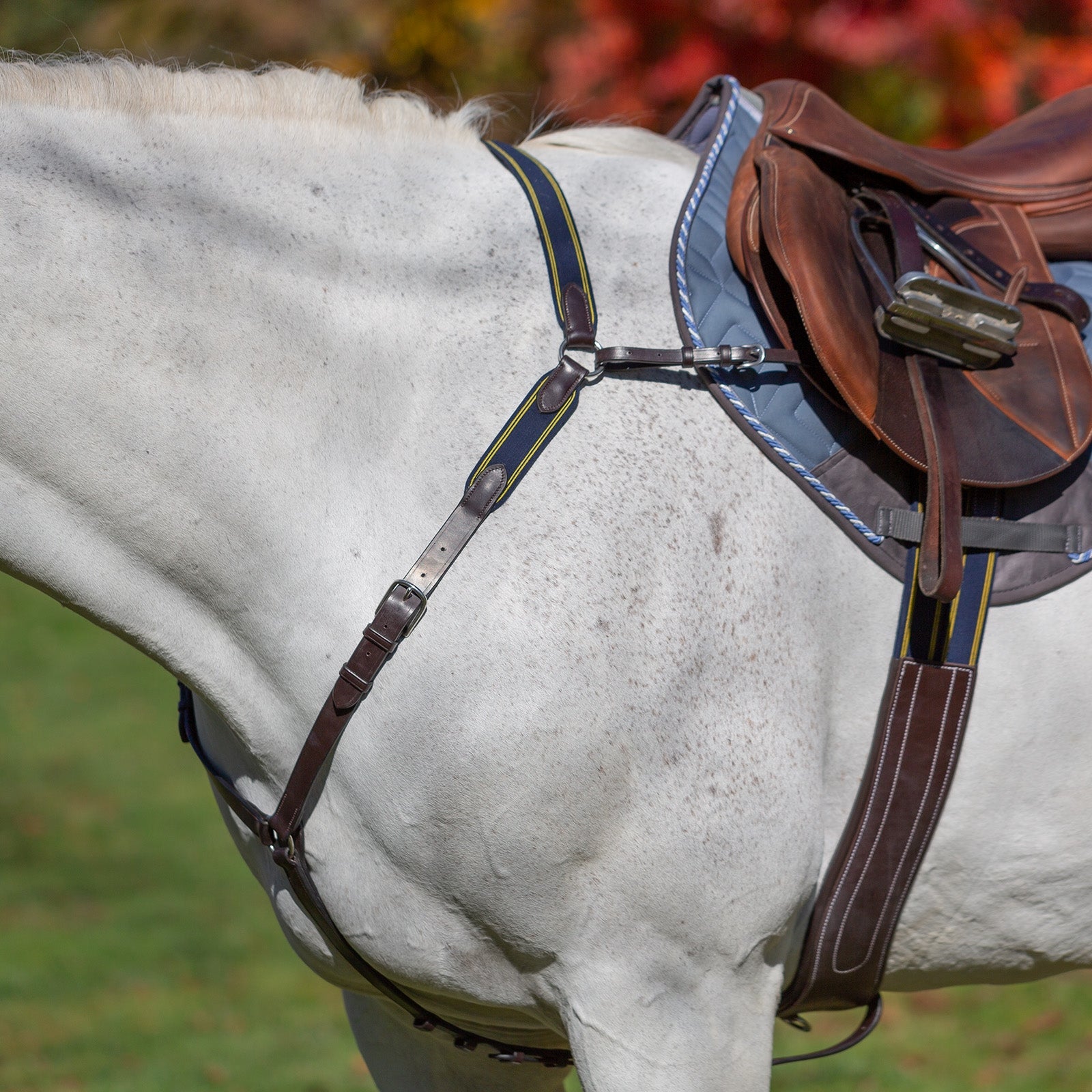 Equinavia Valkyrie Elastic Breastplate