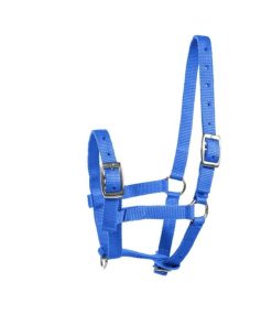 HorZe Spirit Foal Halter Full Blue