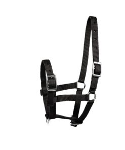 Alternative view of HorZe Spirit Foal Halter Full Blue