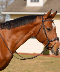 Equinavia Valkyrie Anatomic Jumper Bridle with Rubber Reins