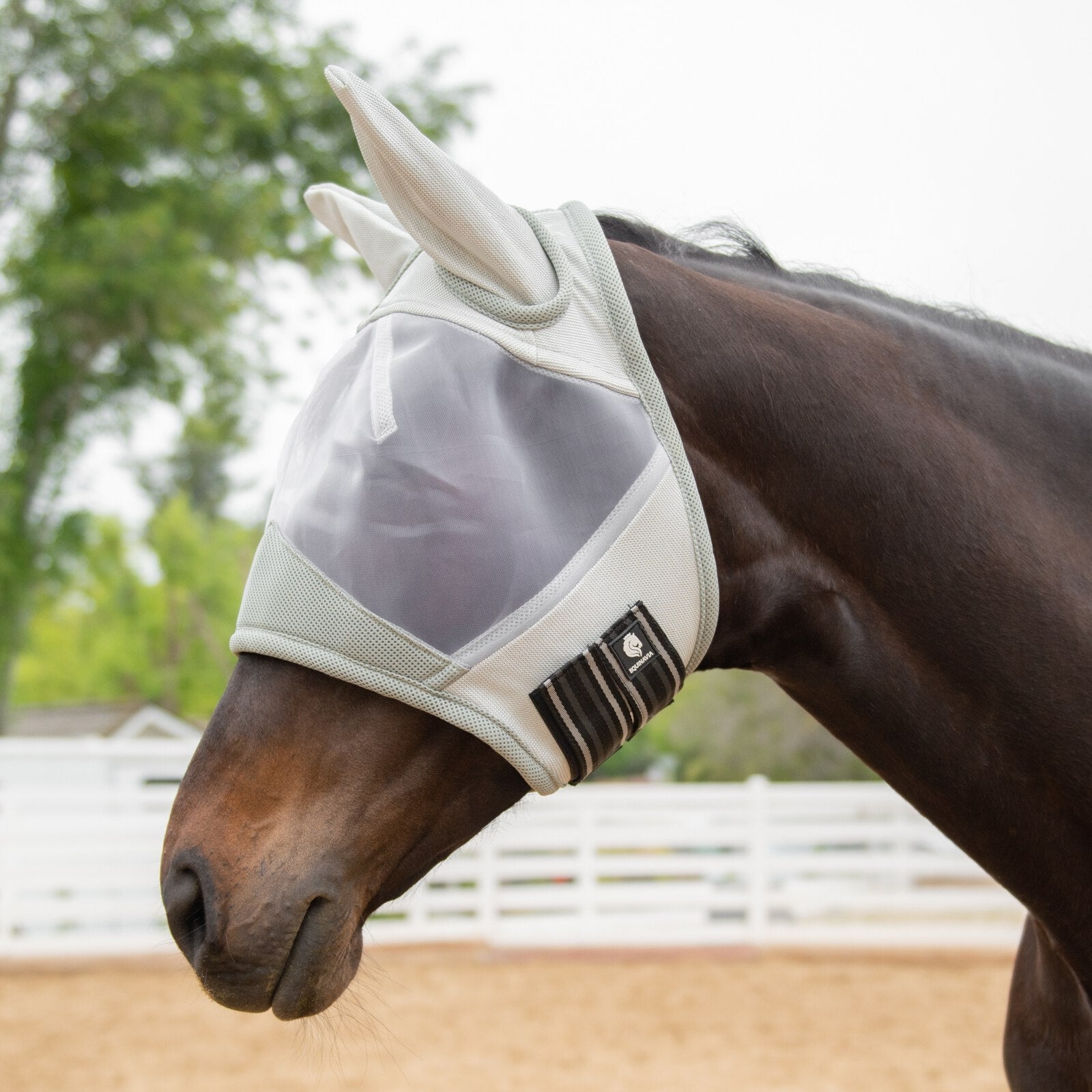 Equinavia Algard Soft Mesh Fly Mask - Image 2