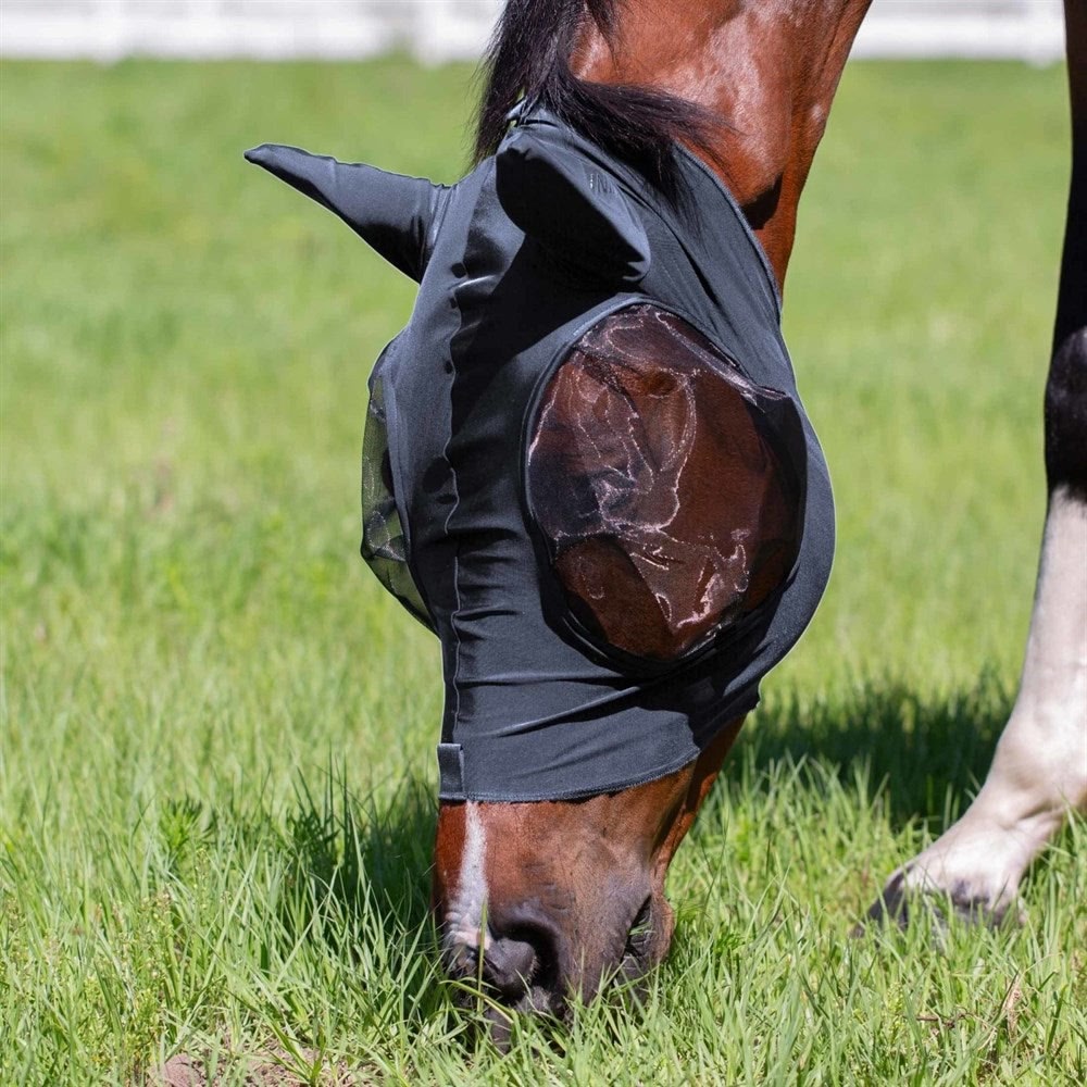 Equinavia Bug Out Fly Mask - Image 2