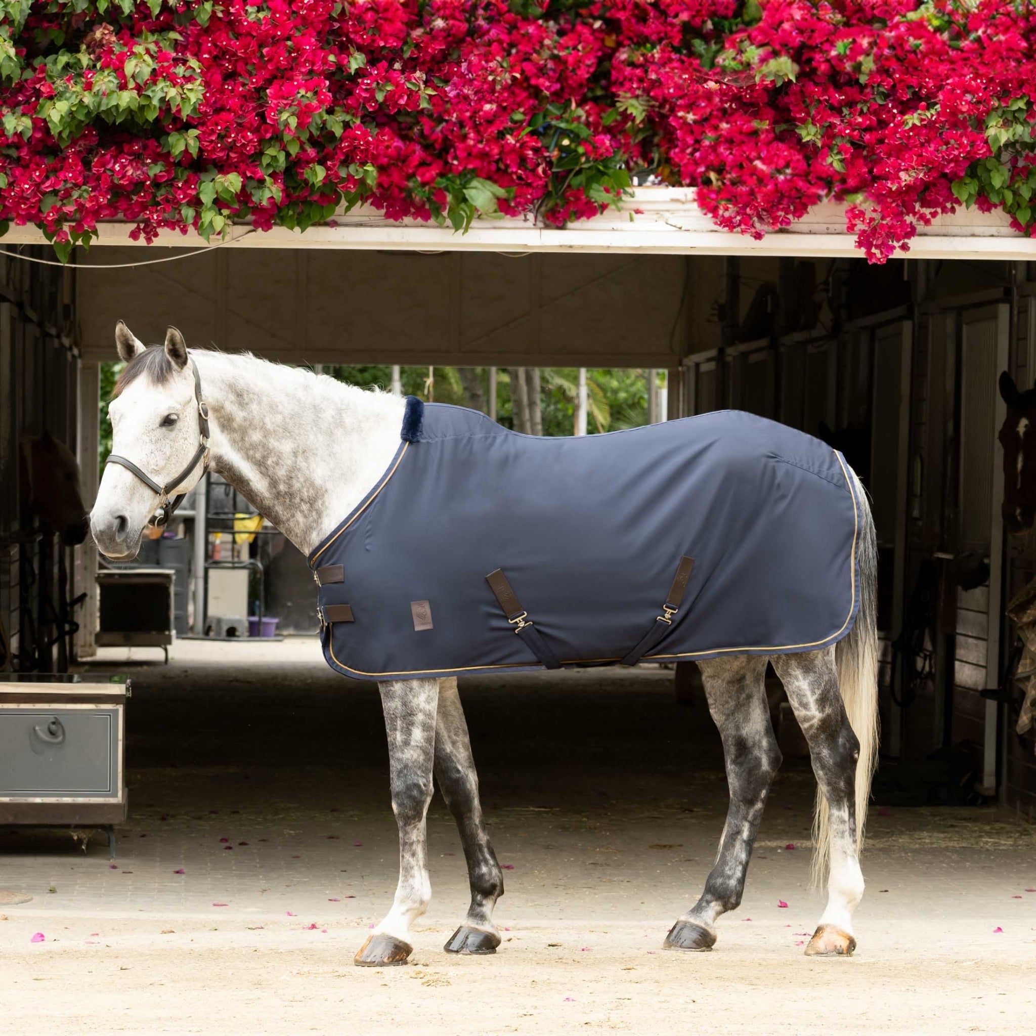 Equinavia Vind Stable Sheet - Image 2