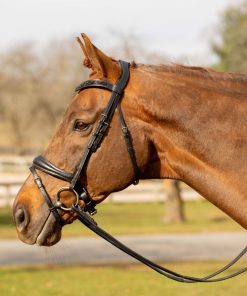 Equinavia Valkyrie Anatomic Dressage Bridle with Rubber Reins