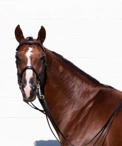 Equinavia Saga Double Bridle with Reins