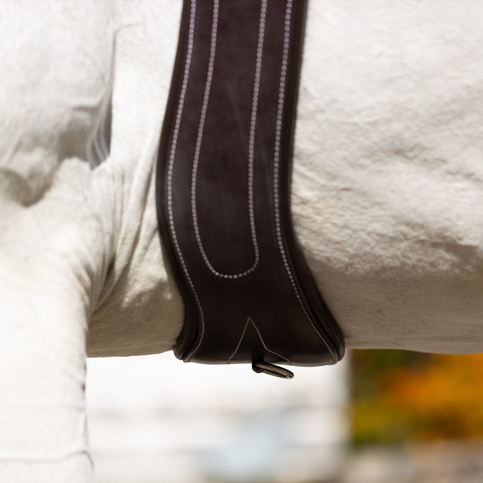 Equinavia Valkyrie Anatomical Long Girth - Image 3