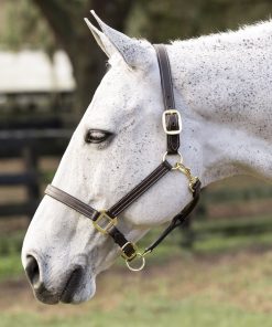 Alternative view of Equinavia Valkyrie Triple Stitched Leather Halter