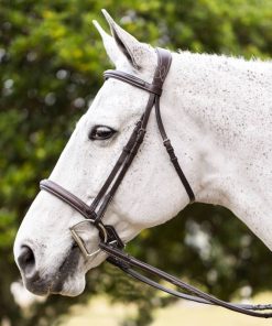 Equinavia Valkyrie Fancy Stitched Hunter Bridle &