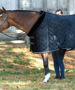 Equinavia Luksus Premium Cooler