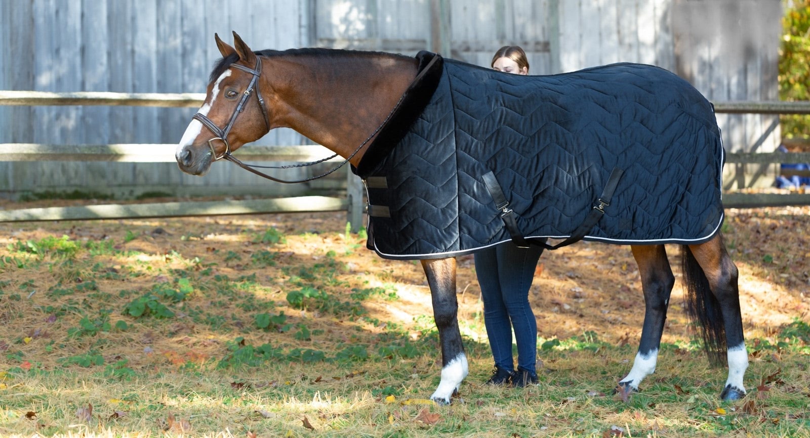 Equinavia Luksus Premium Cooler