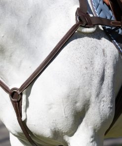 Equinavia Saga 5-point Breastplate