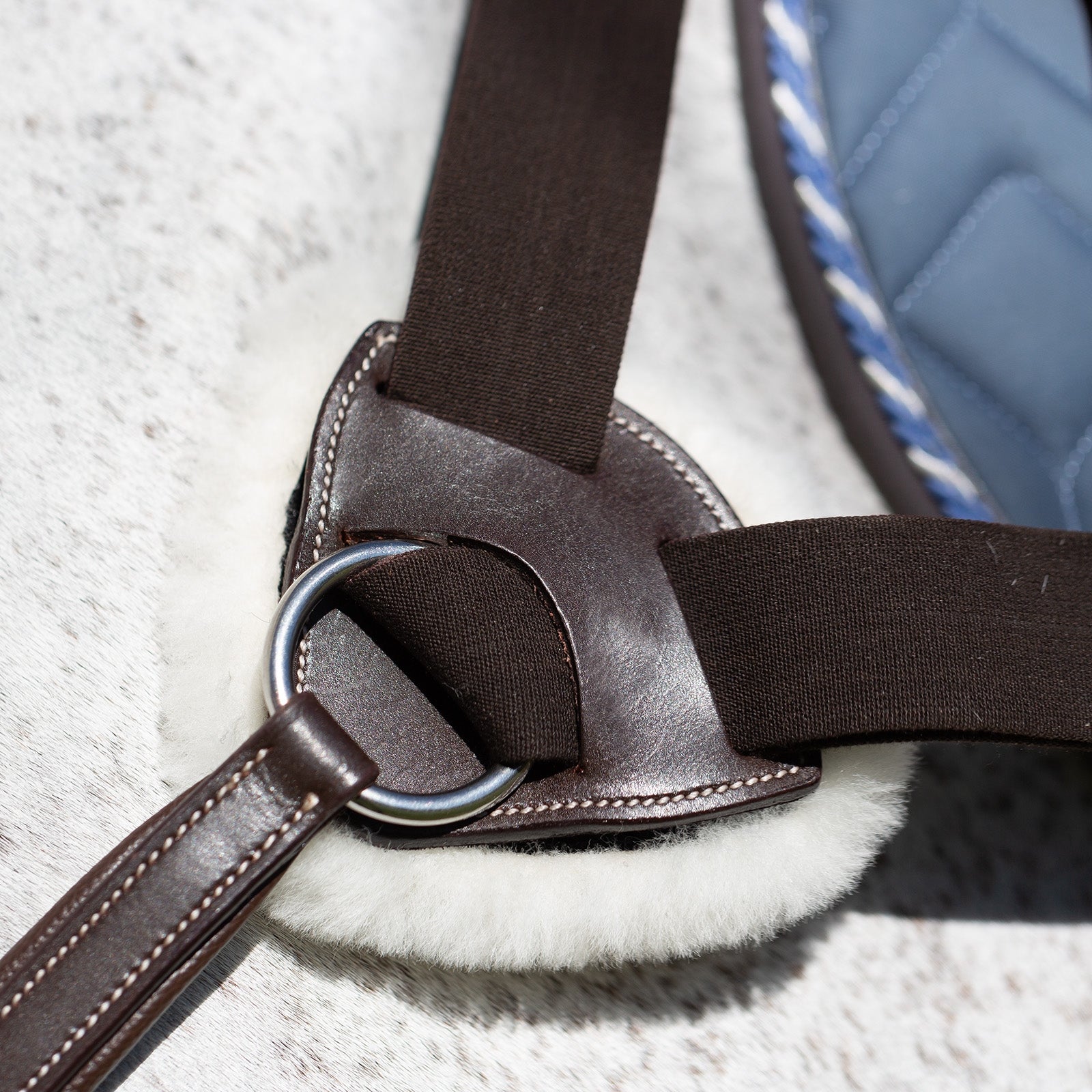 Equinavia Saga 5-point Breastplate - Image 2