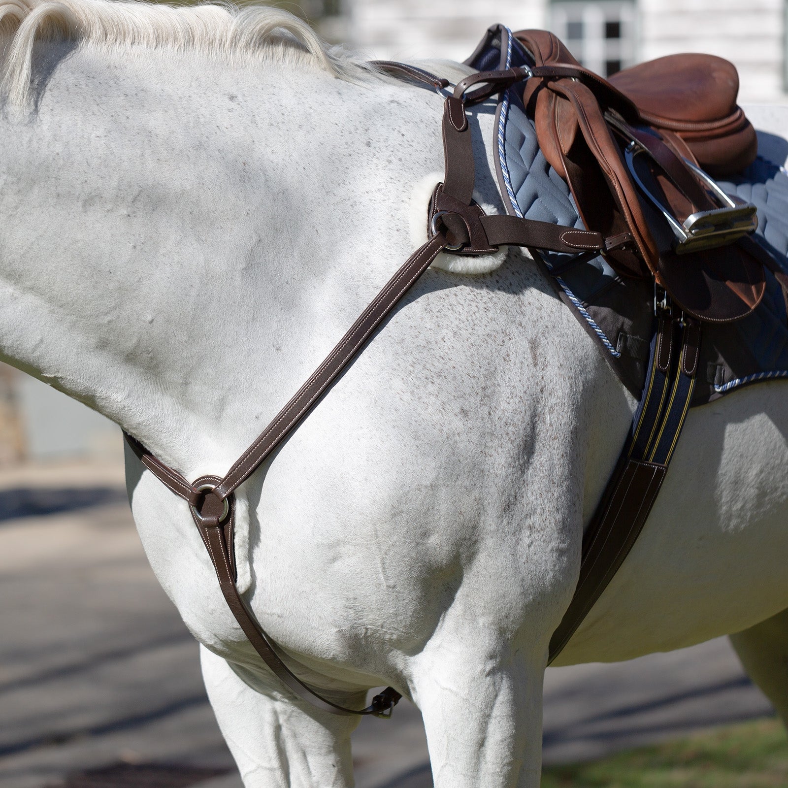 Equinavia Saga 5-point Breastplate - Image 3