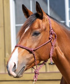 Alternative view of Equinavia Rope Halter