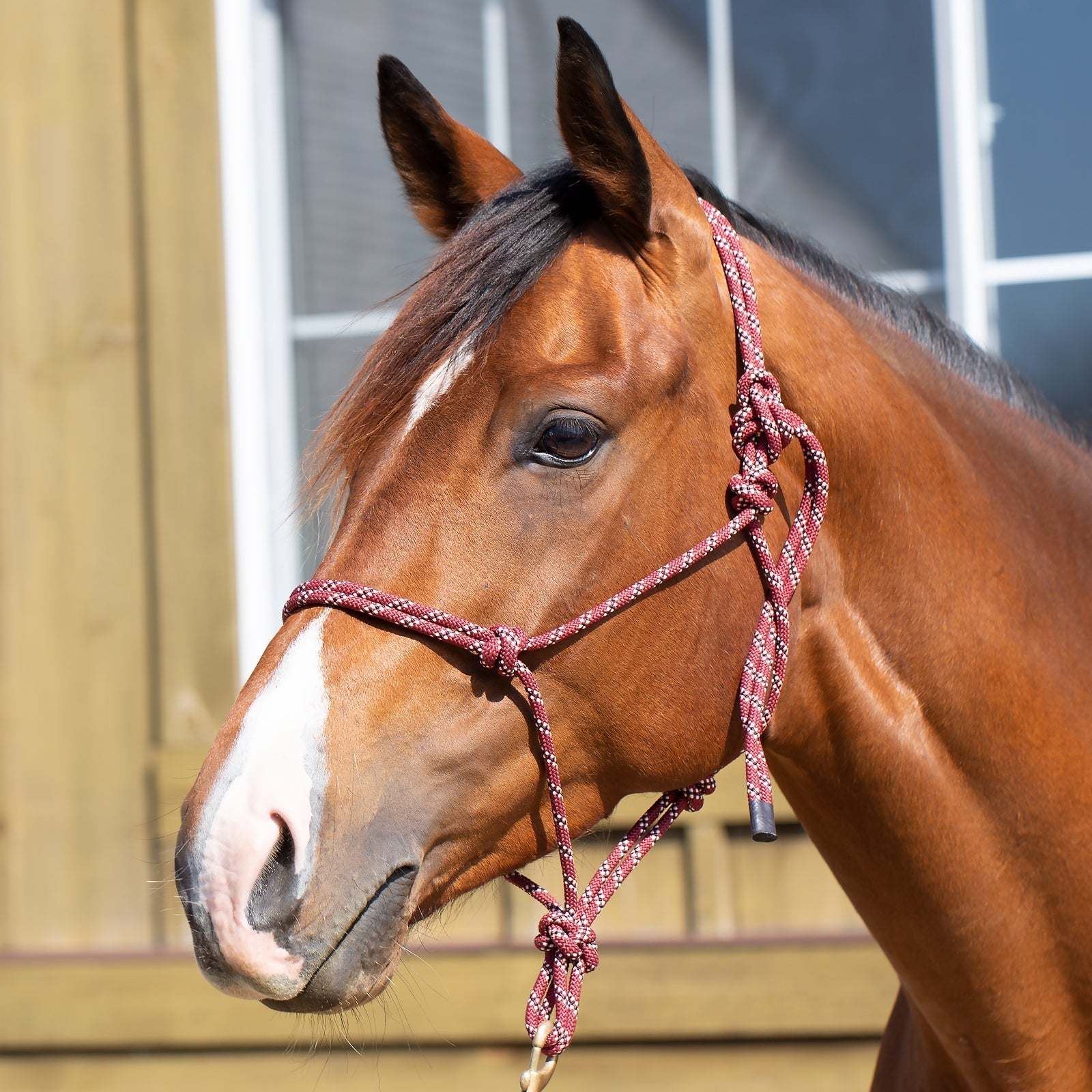 Equinavia Rope Halter - Image 2