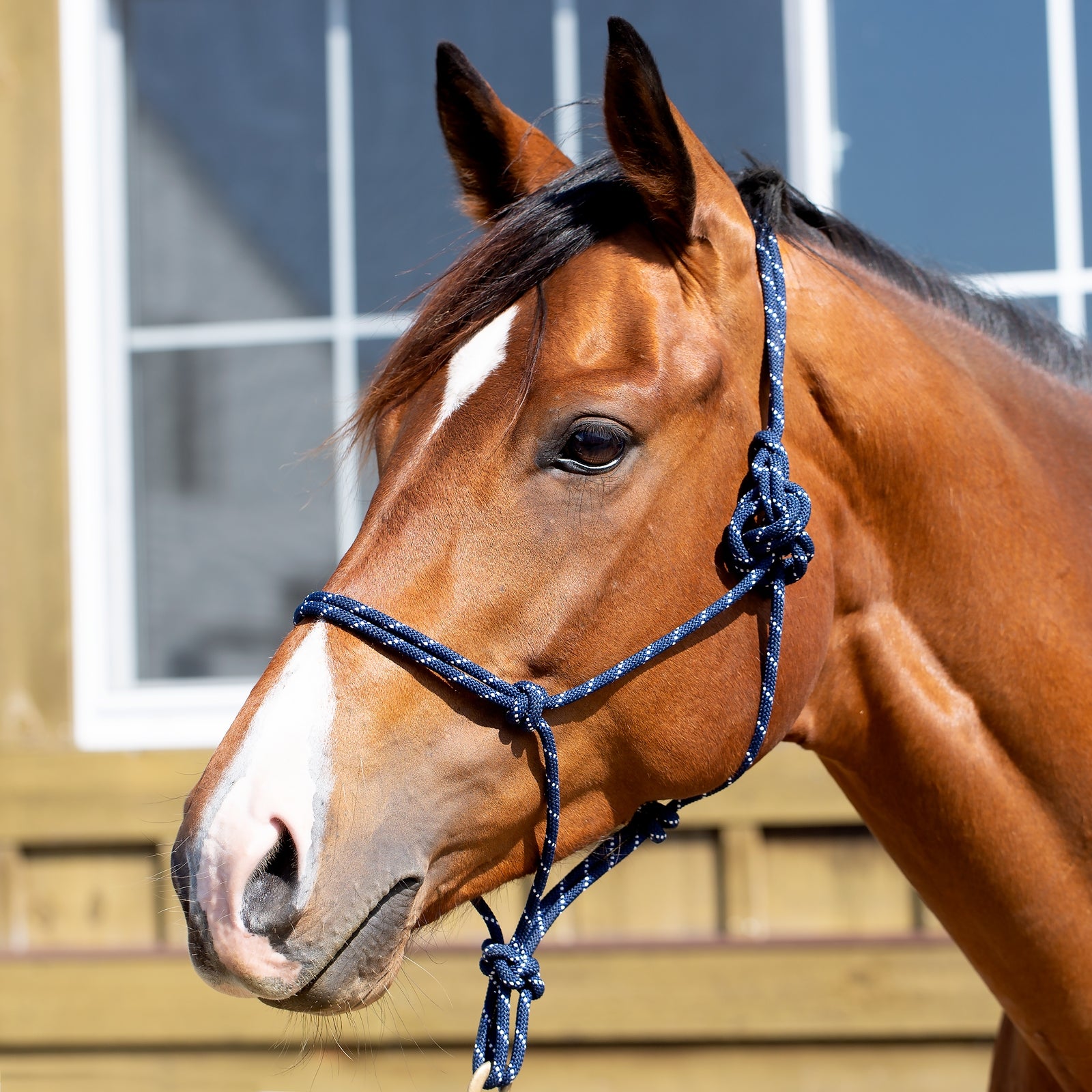 Equinavia Rope Halter - Image 3