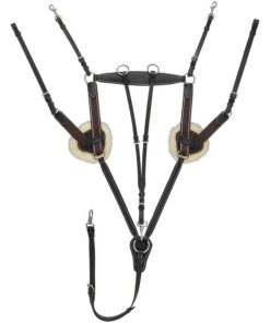 Alternative view of Equitare Five Point Breastplate