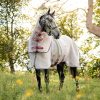Amigo Summer Sheet Plus