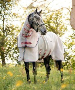 Amigo Summer Sheet Plus