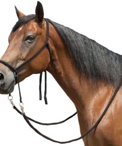Bitless Bridle With Flat Braided Reins Horse Black
