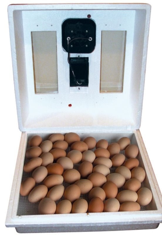 Farm Innovators Digital Circulated Air Incubator - Image 2