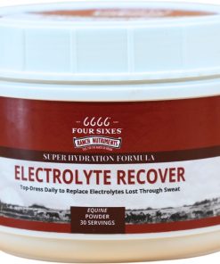6666 Electrolyte Recover Powder
