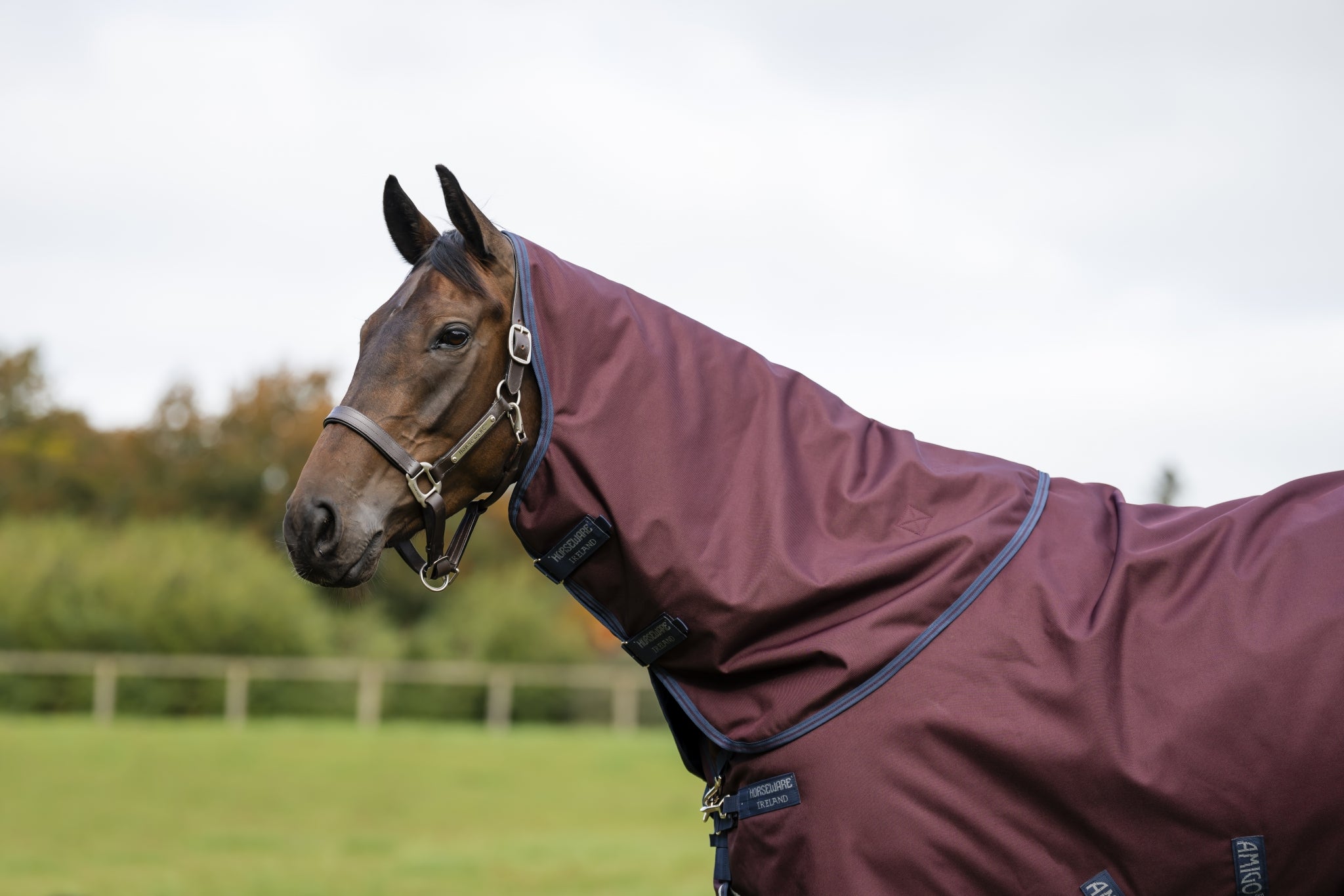 Amigo 1200D Turnout Hood 0g - Image 3