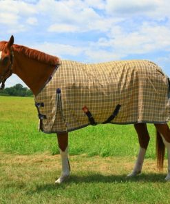 Baker MW Turnout Blanket 200 Gram