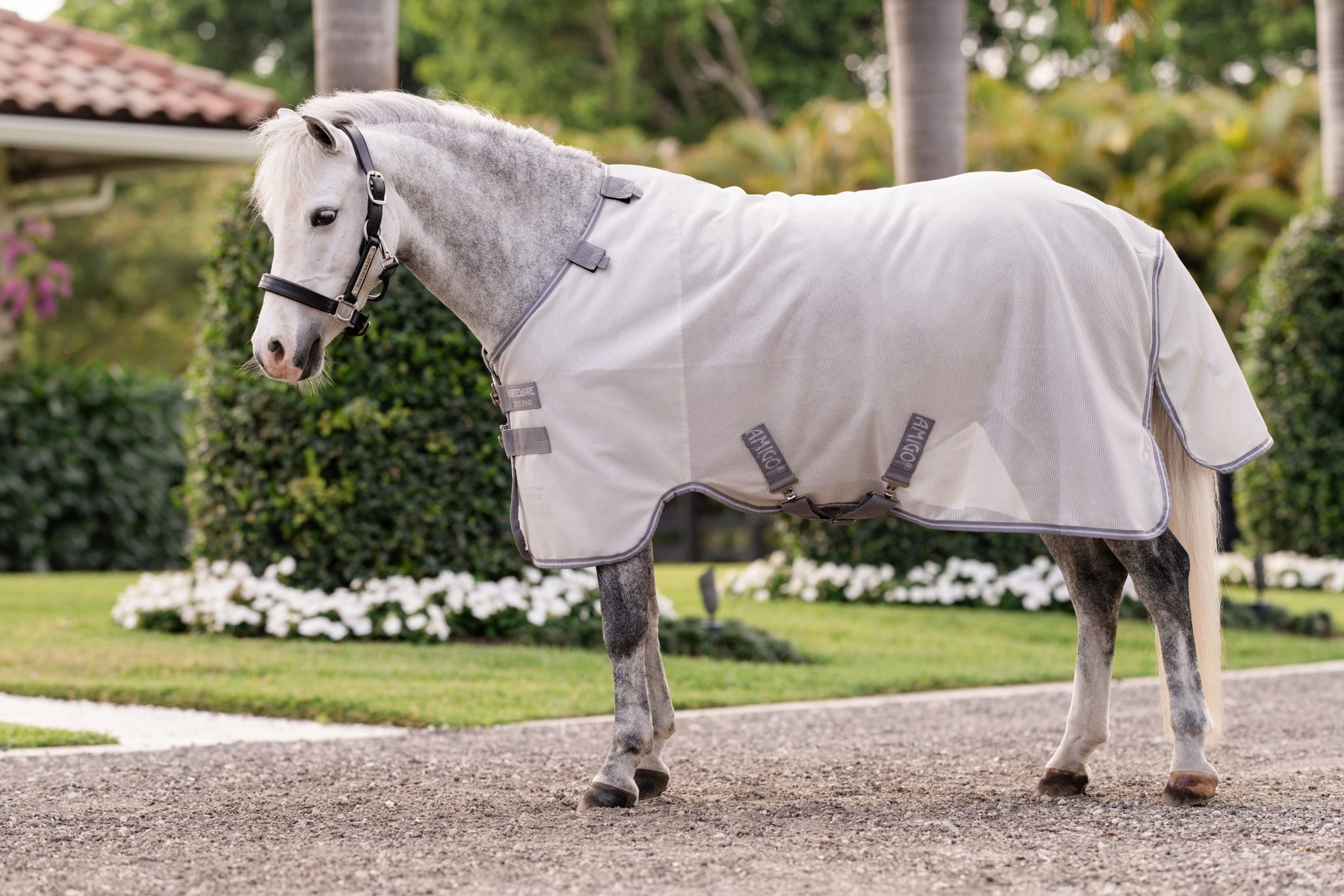 Amigo Bug Rug Pony Fly Sheet