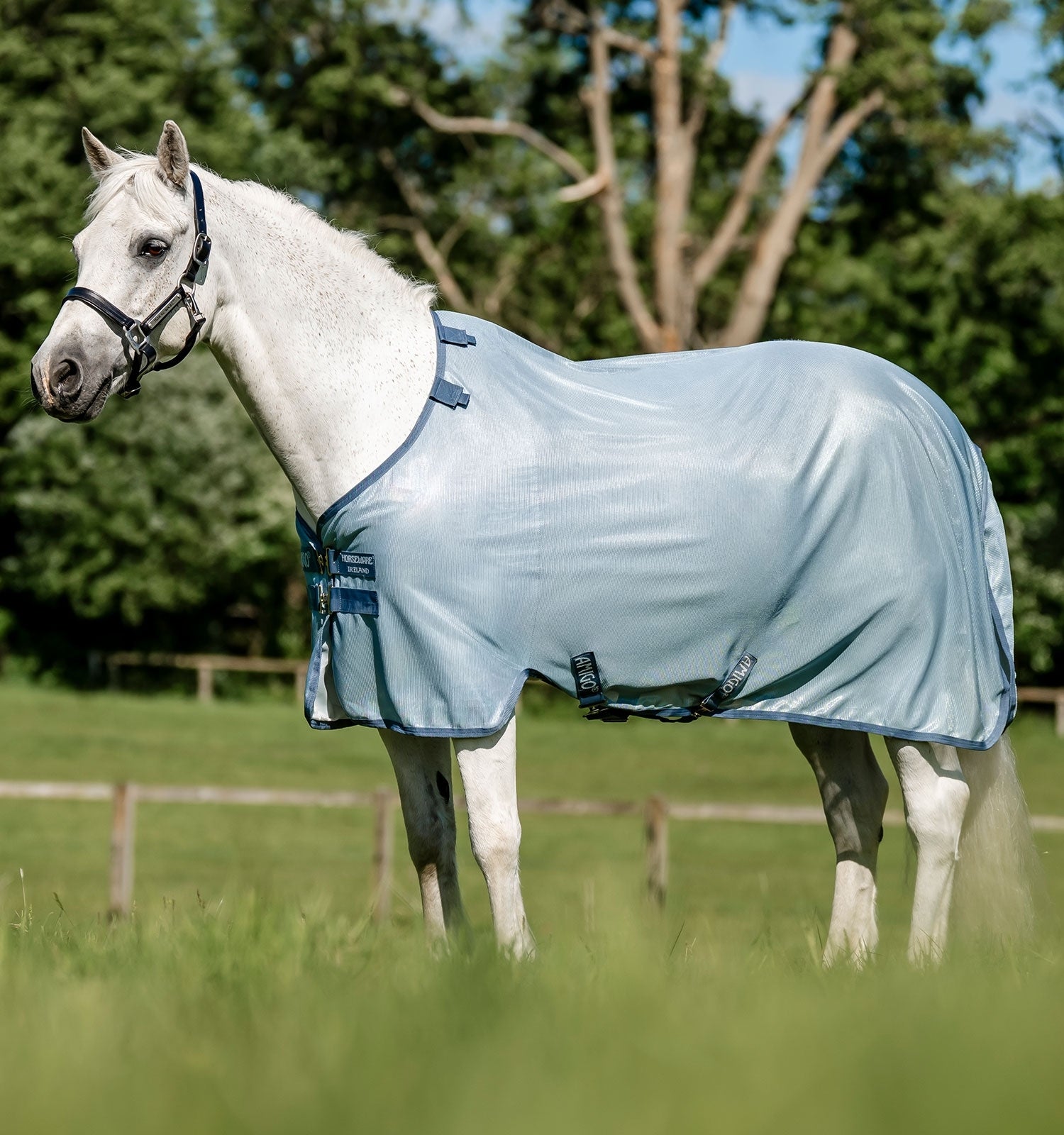 Amigo Bug Rug Pony Fly Sheet - Image 2