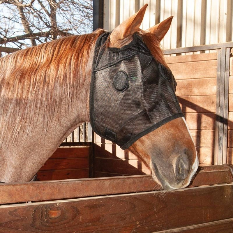 Classic Equine Magntx Mask Black One Size
