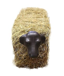 Calf Head With Hay Bale Spikes Black