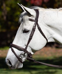 Alternative view of Equinavia Valkyrie Flash Bridle & Rubber Reins