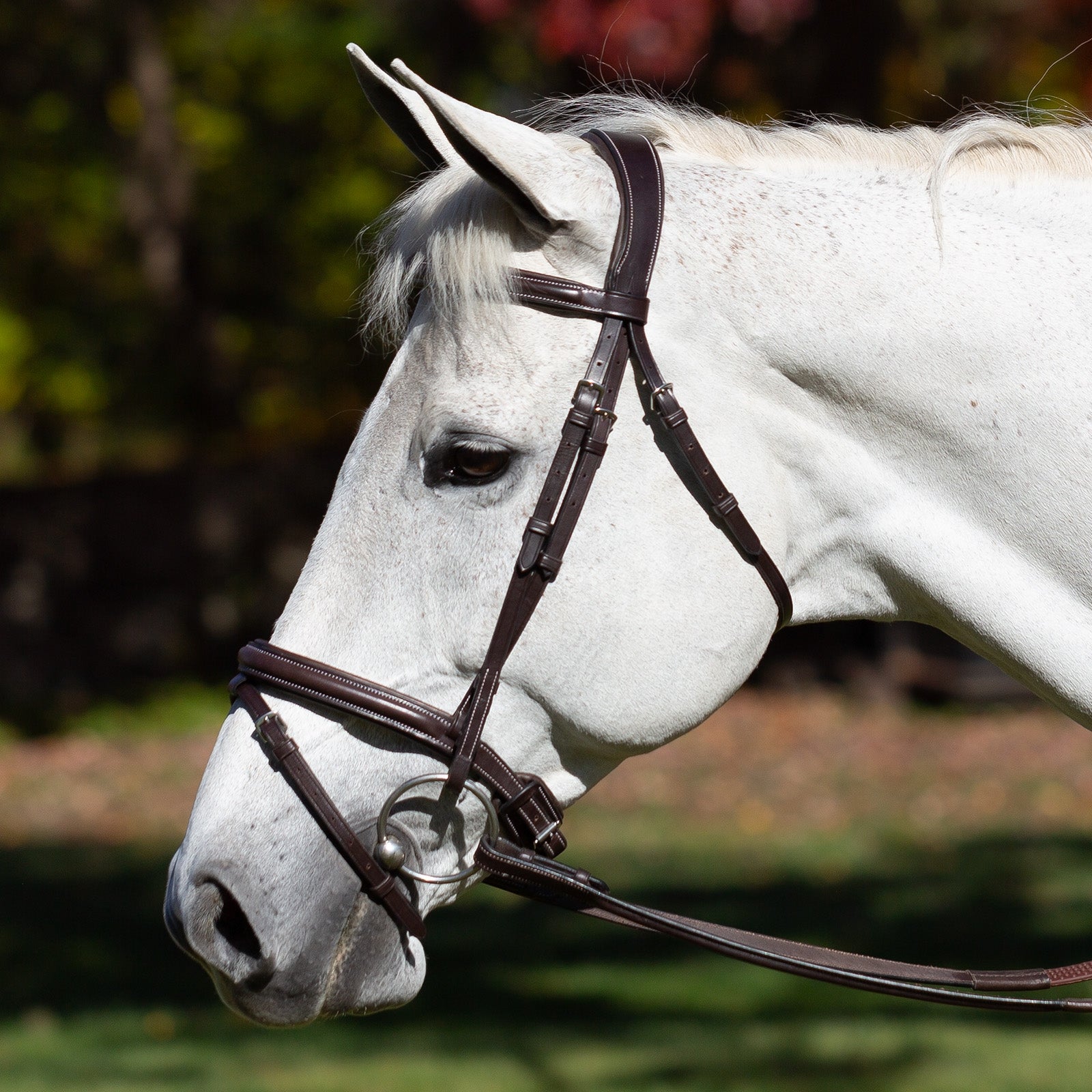 Equinavia Valkyrie Flash Bridle & Rubber Reins - Image 2