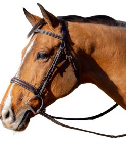 Equinavia Valkyrie Flash Bridle & Rubber Reins