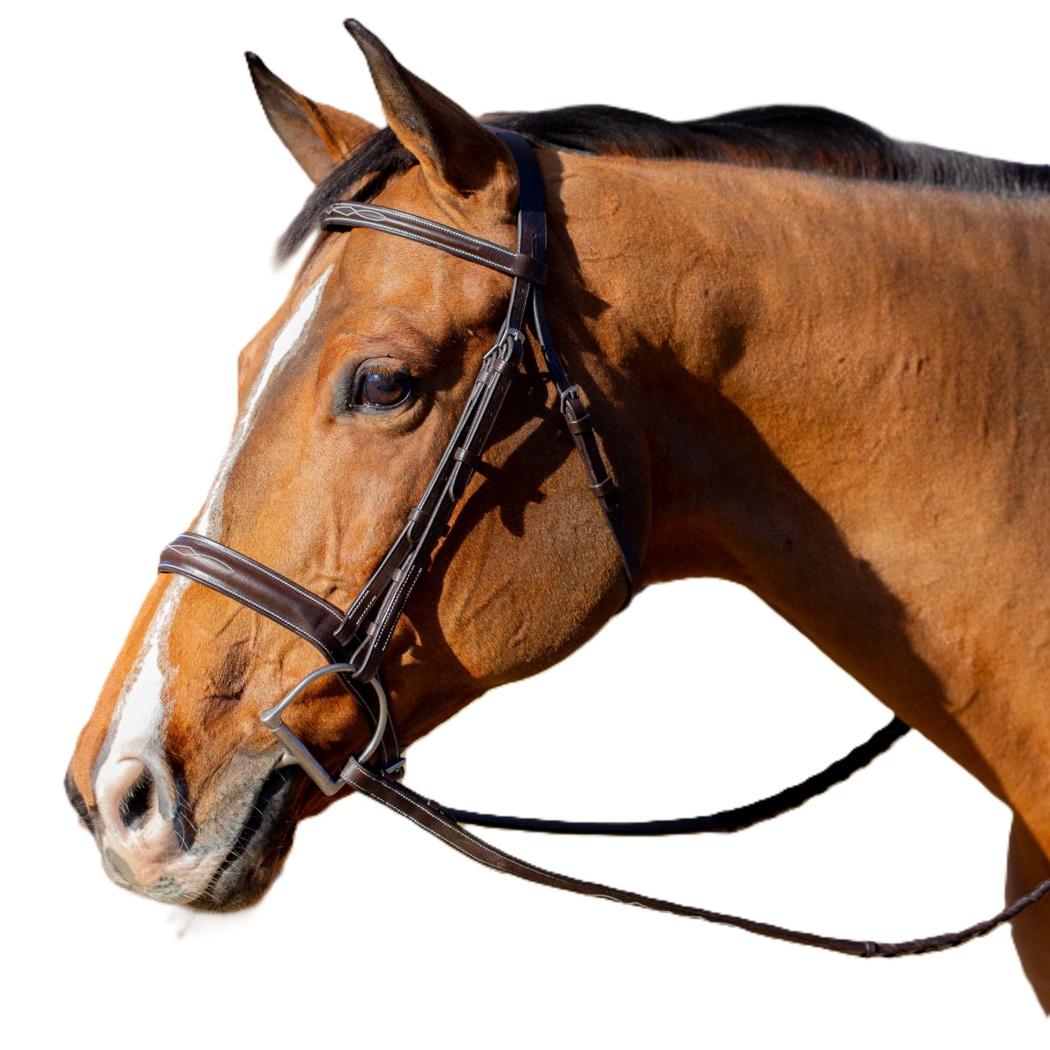 Equinavia Valkyrie Flash Bridle & Rubber Reins