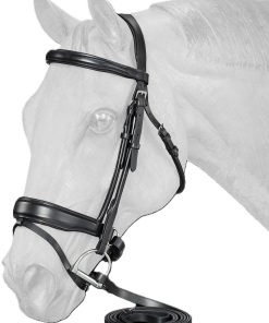Equitare Cadence Dressage Bridle