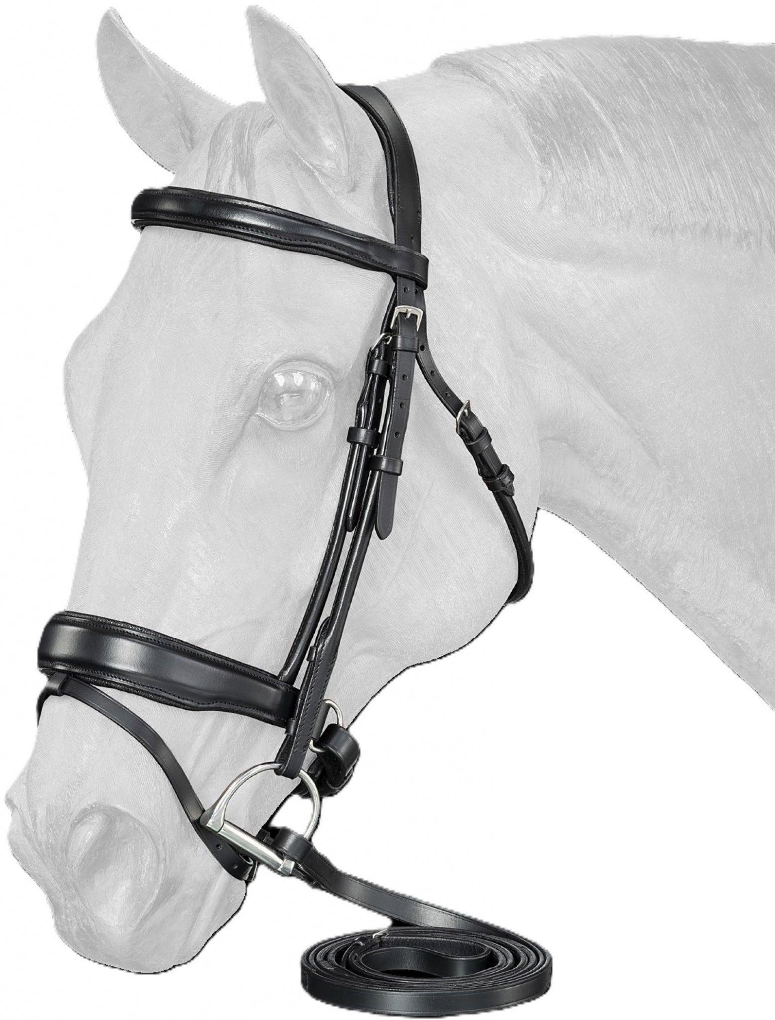 Equitare Cadence Dressage Bridle