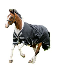Alternative view of Amigo 1200D Turnout 250g
