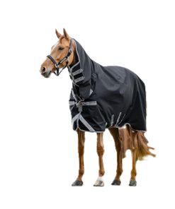 Alternative view of Amigo 1200D Integrated Turnout 50g