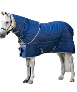 Amigo RS Insulator Plus Stable 350g