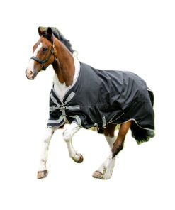 Alternative view of Amigo 1200D XL Turnout 150g