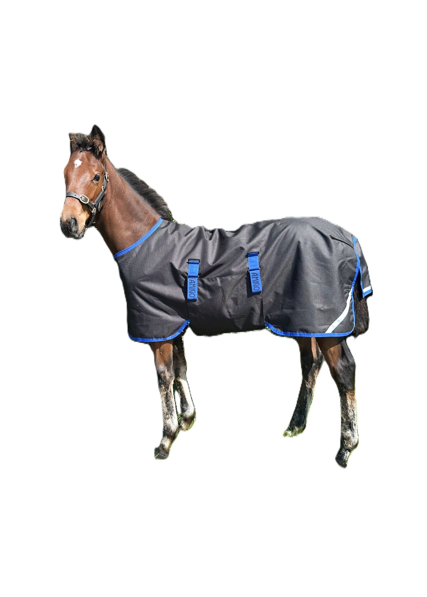Amigo Ripstop 900D Foal Turnout 50g