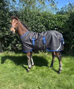 Alternative view of Amigo Ripstop 900D Foal Turnout 50g