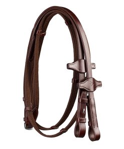Arena Web Reins