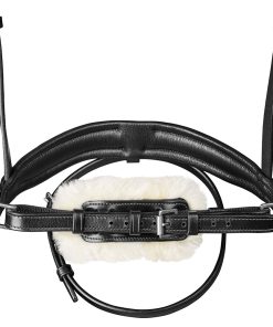 Alternative view of Arena Dressage Bridle