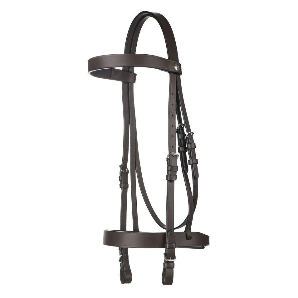 Henri de Rivel Polo Bridle