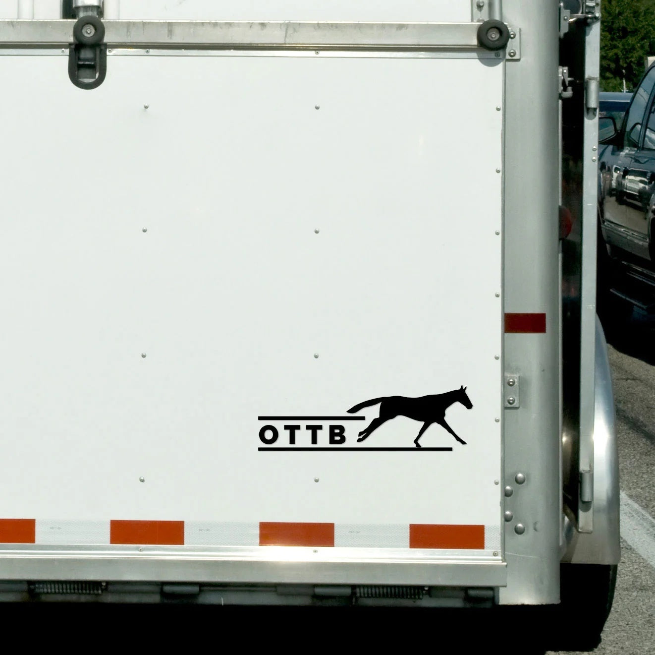 Dapplebay OTTB Vinyl Decal